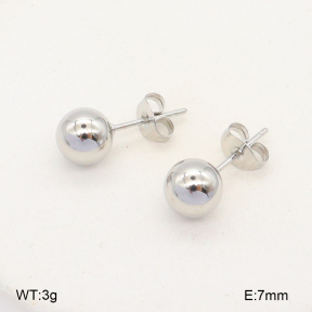 2E2005704aahl-675  Stainless Steel Earrings