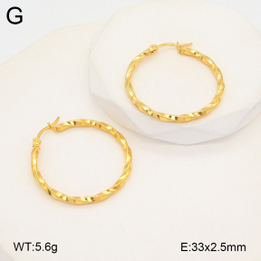 2E2005708baka-675  Stainless Steel Earrings