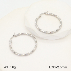 2E2005709avja-675  Stainless Steel Earrings
