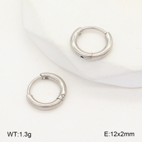 2E2005710aaha-675  Stainless Steel Earrings