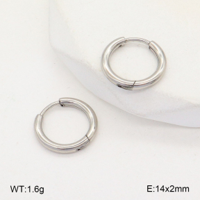 2E2005711aaha-675  Stainless Steel Earrings