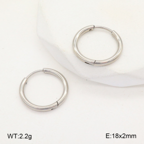 2E2005713aaha-675  Stainless Steel Earrings