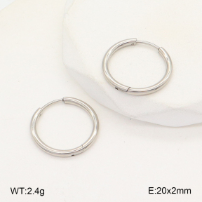 2E2005714aahi-675  Stainless Steel Earrings