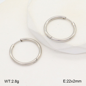 2E2005715aahi-675  Stainless Steel Earrings