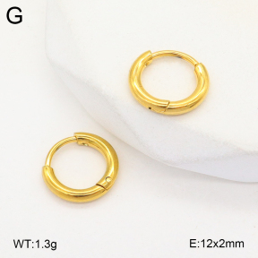 2E2005716aahm-675  Stainless Steel Earrings