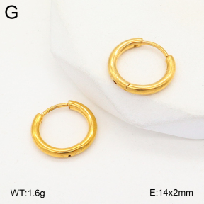 2E2005717aahm-675  Stainless Steel Earrings
