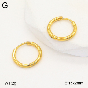 2E2005718aahm-675  Stainless Steel Earrings