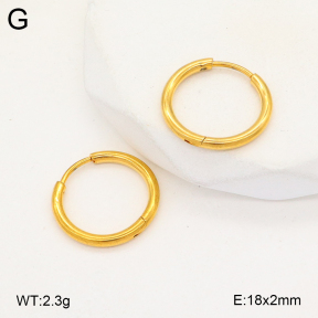 2E2005719aahm-675  Stainless Steel Earrings