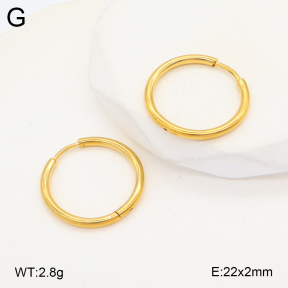 2E2005721aaho-675  Stainless Steel Earrings
