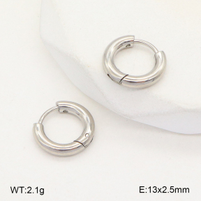 2E2005722aahi-675  Stainless Steel Earrings