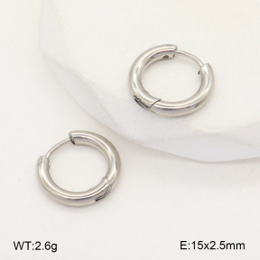 2E2005723aahi-675  Stainless Steel Earrings