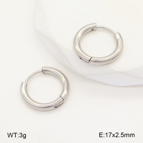 2E2005724aahi-675  Stainless Steel Earrings
