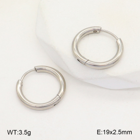 2E2005725aahi-675  Stainless Steel Earrings