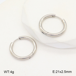2E2005726aahi-675  Stainless Steel Earrings