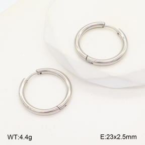 2E2005727aahi-675  Stainless Steel Earrings