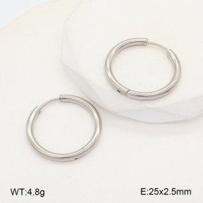 2E2005728aahi-675  Stainless Steel Earrings