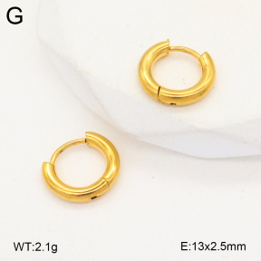 2E2005729aaho-675  Stainless Steel Earrings