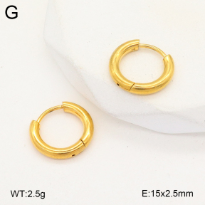 2E2005730aaho-675  Stainless Steel Earrings