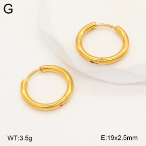 2E2005732aaho-675  Stainless Steel Earrings