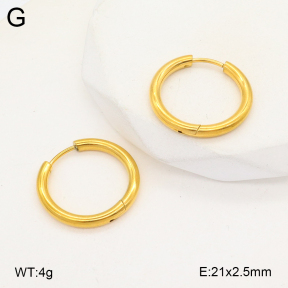 2E2005733aaho-675  Stainless Steel Earrings