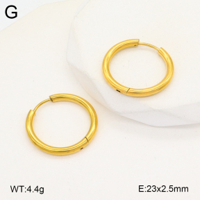 2E2005734vaia-675  Stainless Steel Earrings