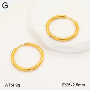 2E2005735vaia-675  Stainless Steel Earrings