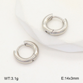 2E2005736aahm-675  Stainless Steel Earrings