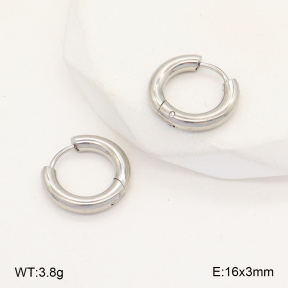 2E2005737aahm-675  Stainless Steel Earrings