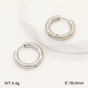 2E2005738aahm-675  Stainless Steel Earrings