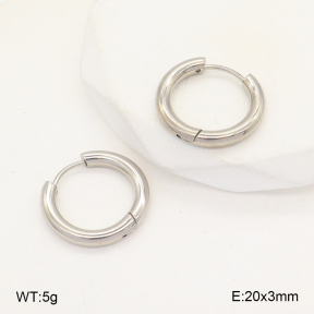 2E2005739aahm-675  Stainless Steel Earrings