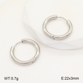 2E2005740aahm-675  Stainless Steel Earrings