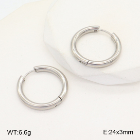 2E2005741aahm-675  Stainless Steel Earrings