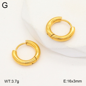 2E2005743vail-675  Stainless Steel Earrings