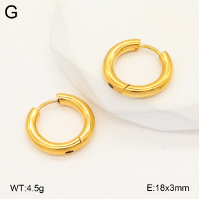 2E2005744vail-675  Stainless Steel Earrings