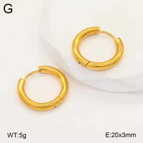 2E2005745vail-675  Stainless Steel Earrings