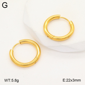 2E2005746vail-675  Stainless Steel Earrings