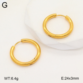 2E2005747vail-675  Stainless Steel Earrings