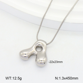 2N2005553vail-675  Stainless Steel Necklace