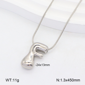 2N2005558vail-675  Stainless Steel Necklace