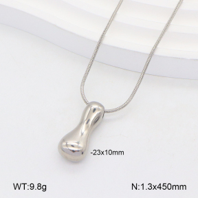 2N2005561vail-675  Stainless Steel Necklace