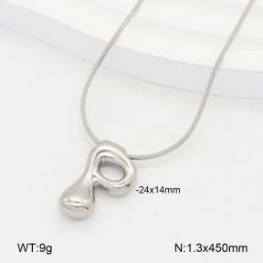 2N2005568vail-675  Stainless Steel Necklace