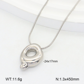 2N2005569vail-675  Stainless Steel Necklace