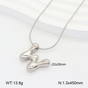 2N2005575vail-675  Stainless Steel Necklace
