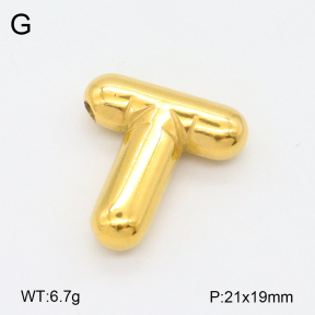 2P2004238aahl-675  Stainless Steel Pendant