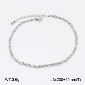2A9001630baka-201  Stainless Steel Anklets