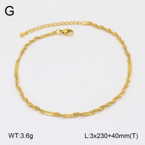 2A9001631ablb-201  Stainless Steel Anklets