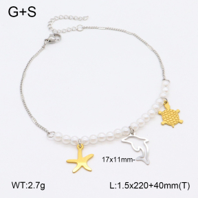2A9001648vbmb-610  Stainless Steel Anklets