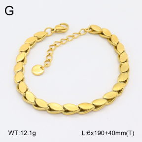 2B2003925bhva-201  Stainless Steel Bracelet