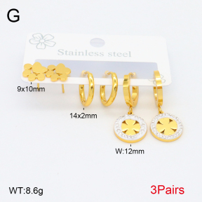 2E4004250vbpb-765  Stainless Steel Earrings