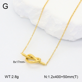 2N2005602bhva-201  Stainless Steel Necklace
